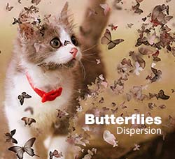 极品PS动作－蝴蝶散离(新版/含PDF图文教程)：Butterflies Dispersion
